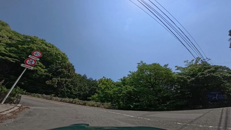 頼朝ライン